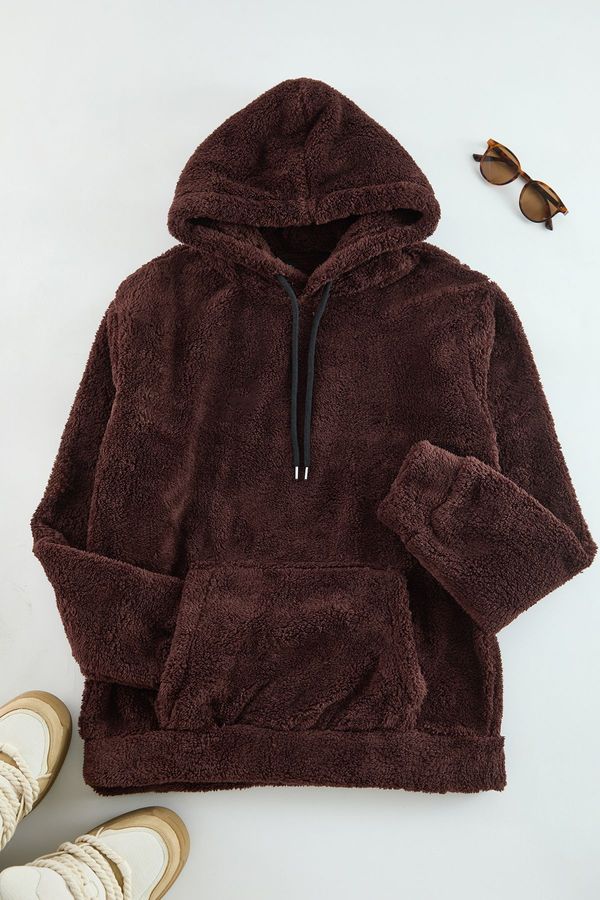 Trendyol Trendyol Brown Regular/Normal Cut Hooded Warm Plush Sweatshirt