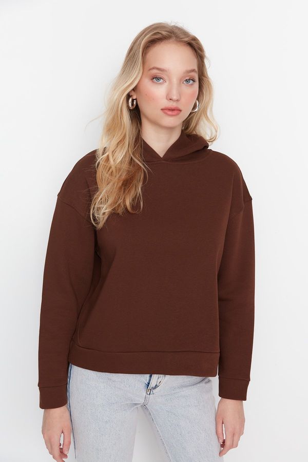 Trendyol Trendyol Brown Regular/Normal Wear Basic with a Hooded Fleece Inside Knitted Sweatshirt