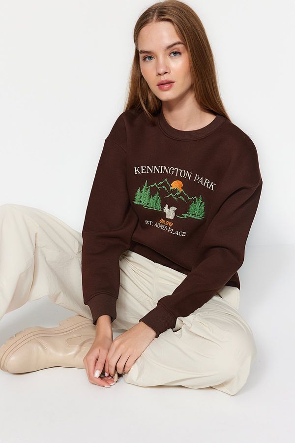 Trendyol Trendyol Brown Thick Inner Fleece Embroidered Regular/Normal Fit Knitted Sweatshirt