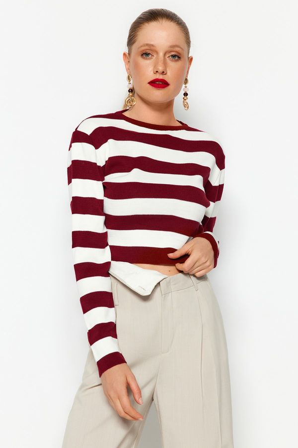 Trendyol Trendyol Burgundy Crop Basic Striped Knitwear Sweater