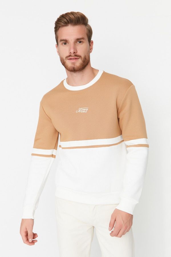 Trendyol Trendyol Camel Regular/Normal Cut Long Sleeve Printed Panelled Sweatshirt