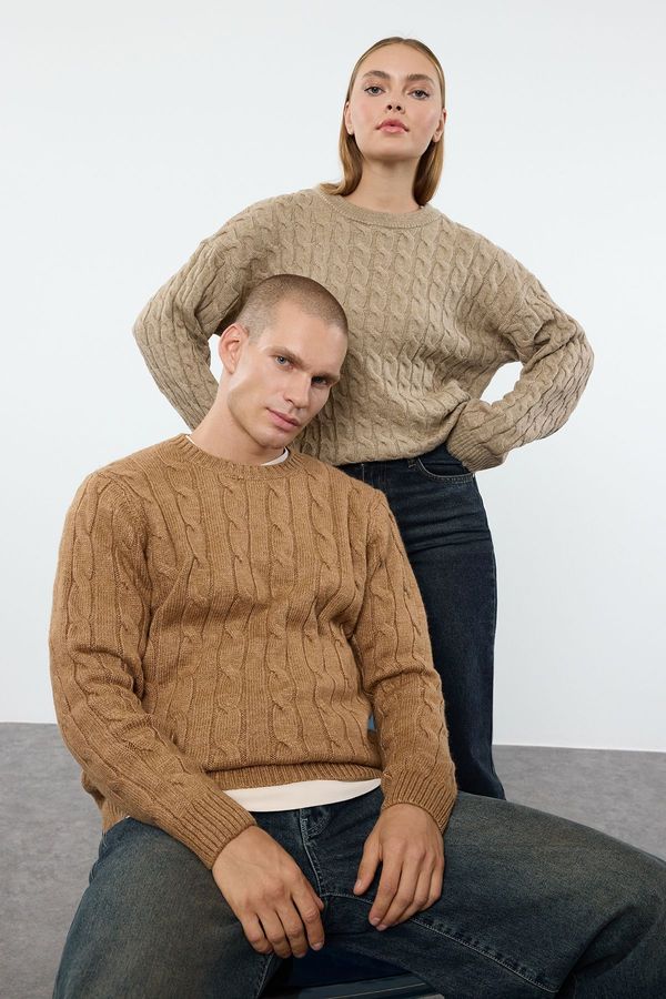 Trendyol Trendyol Camel Unisex Couple/Double Crew Neck Hair Knitted Sweater