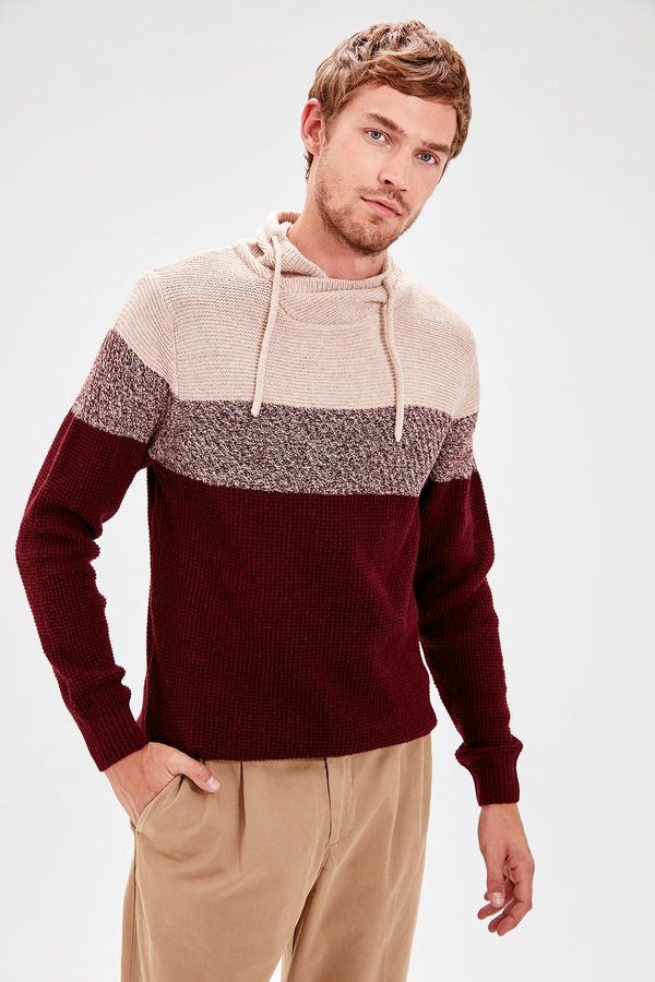 Trendyol Trendyol Claret Red Regular Shawl Collar Color Block Knitwear Sweater