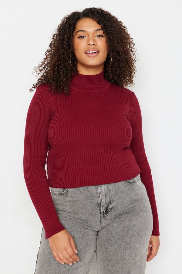 Trendyol Trendyol Curve Burgundy Half Turtleneck Fine Knitwear Sweater