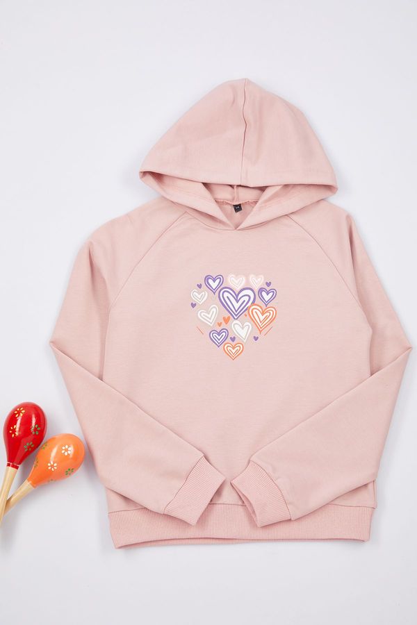 Trendyol Trendyol Dusty Rose Girl Heart Patterned Hooded Knitted Sweatshirt