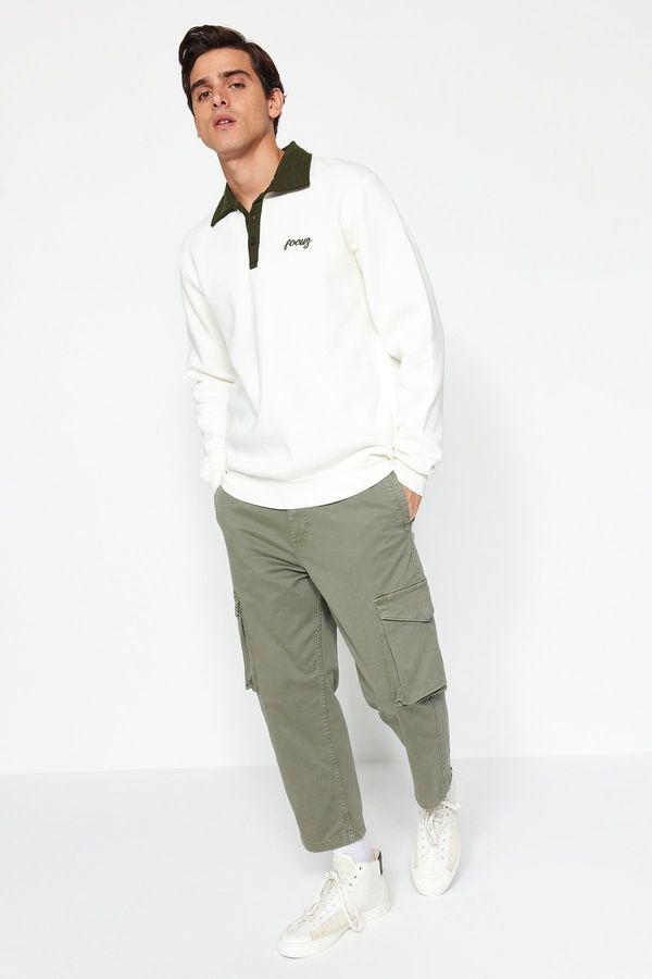 Trendyol Trendyol Ecru Regular/Regular Fit Polo Neck Embroidered Fleece Inside Cotton Sweatshirt