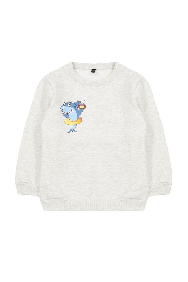 Trendyol Trendyol Gray Boy Printed Crew Neck Cotton Knitted Sweatshirt