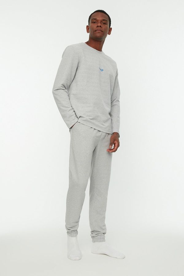 Trendyol Trendyol Gray Regular Fit Printed Knitted Pajamas Set