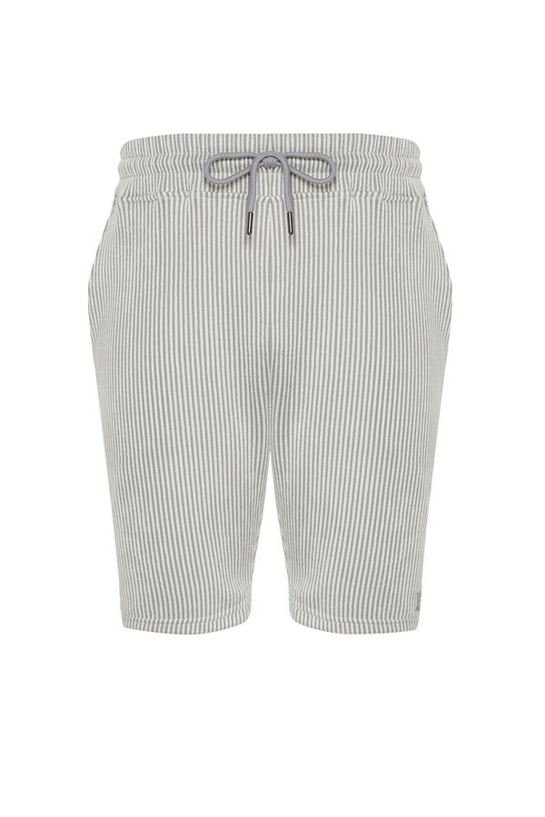 Trendyol Trendyol Gray Striped Regular Cut Shorts