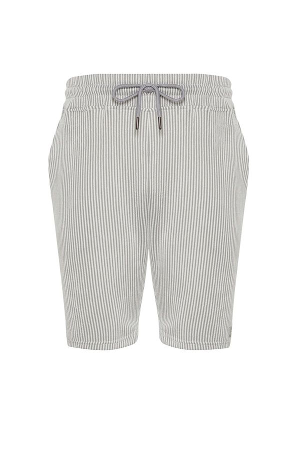 Trendyol Trendyol Gray Striped Regular/Normal Fit Shorts