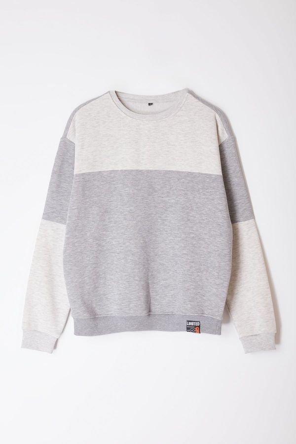 Trendyol Trendyol Grey Melange Oversize/Wide Cut Color Block Fleece Inside Sweatshirt