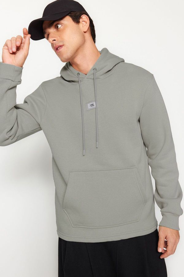 Trendyol Trendyol Grey Regular/Normal Cut Hooded Labeled Inside Polar Fleece/Warm Sweatshirt