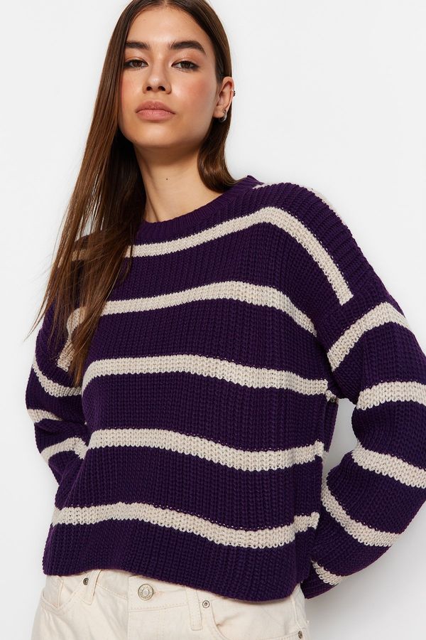 Trendyol Trendyol Light Purple Crop Basic Striped Knitwear Sweater