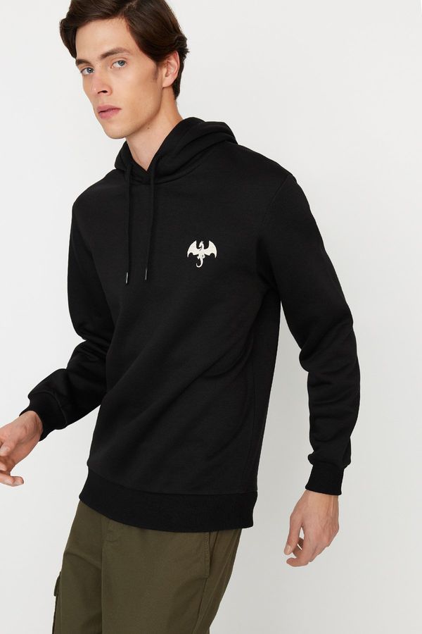 Trendyol Trendyol Men's Black Regular/Regular Fit Embroidered Hooded Fleece Inner Sweatshirt