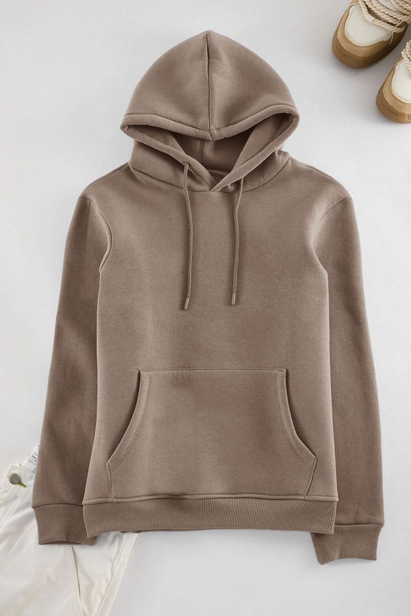 Trendyol Trendyol Mink Basic Regular Cut Hooded Sweatshirt with Fleece Inside Kangaroo Pocket