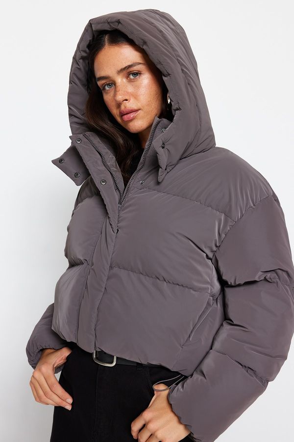 Trendyol Trendyol Mink Oversize Hooded Waterproof Down Jacket