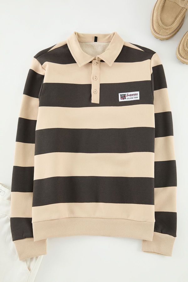 Trendyol Trendyol Mink Regular/Normal Cut Polo Collar Striped Polar Fleece Inside Cotton Sweatshirt