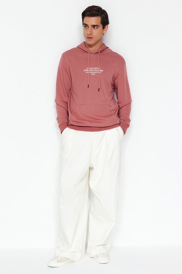 Trendyol Trendyol Pale Pink Regular/Normal Fit Text Printed Hooded Sweatshirt