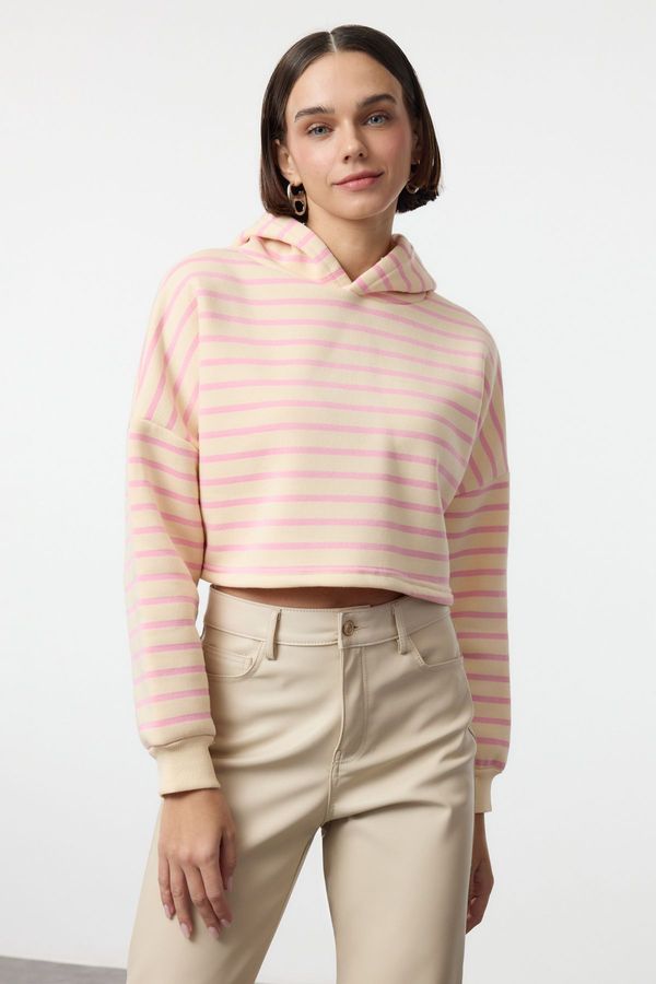 Trendyol Trendyol Pink Striped Hooded Regular/Normal Pattern Knitted Sweatshirt