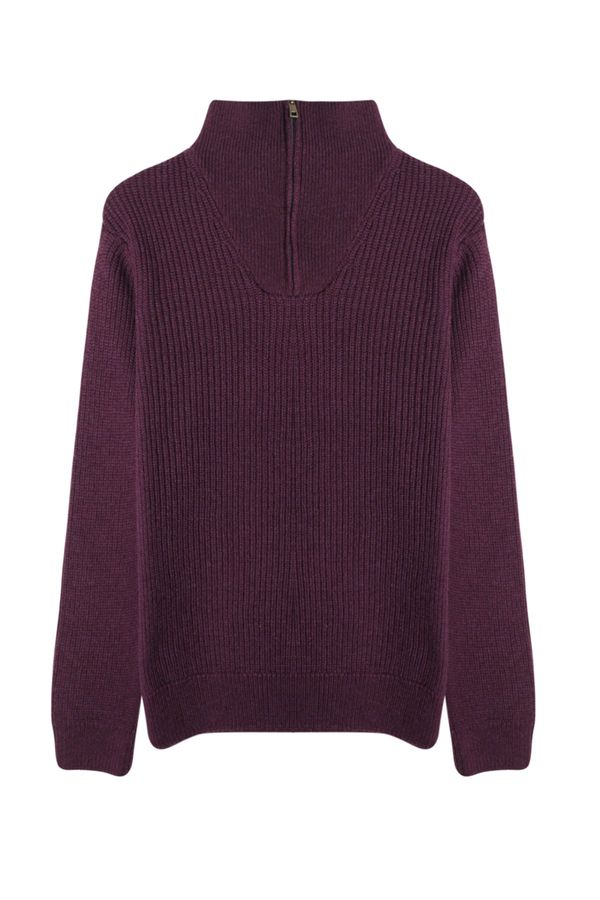 Trendyol Trendyol Plum FL Men's Regular Half Turtleneck Plain Knitwear Sweater