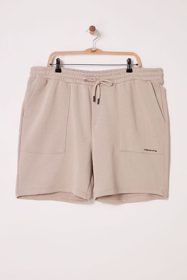 Trendyol Trendyol Plus Size Mink Regular/Normal Cut Text Printed Shorts&Bermuda