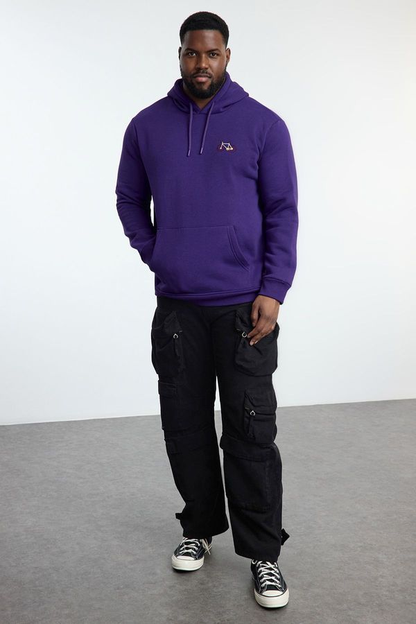 Trendyol Trendyol Plus Size Purple Regular/Normal Cut Hooded Sweatshirt with Polar Fleece Inside