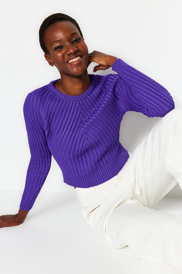 Trendyol Trendyol Purple Crop Crew Neck Knitwear Sweater