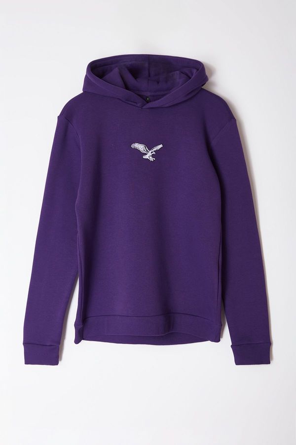 Trendyol Trendyol Purple Regular/Normal Cut Animal Embroidered Sweatshirt