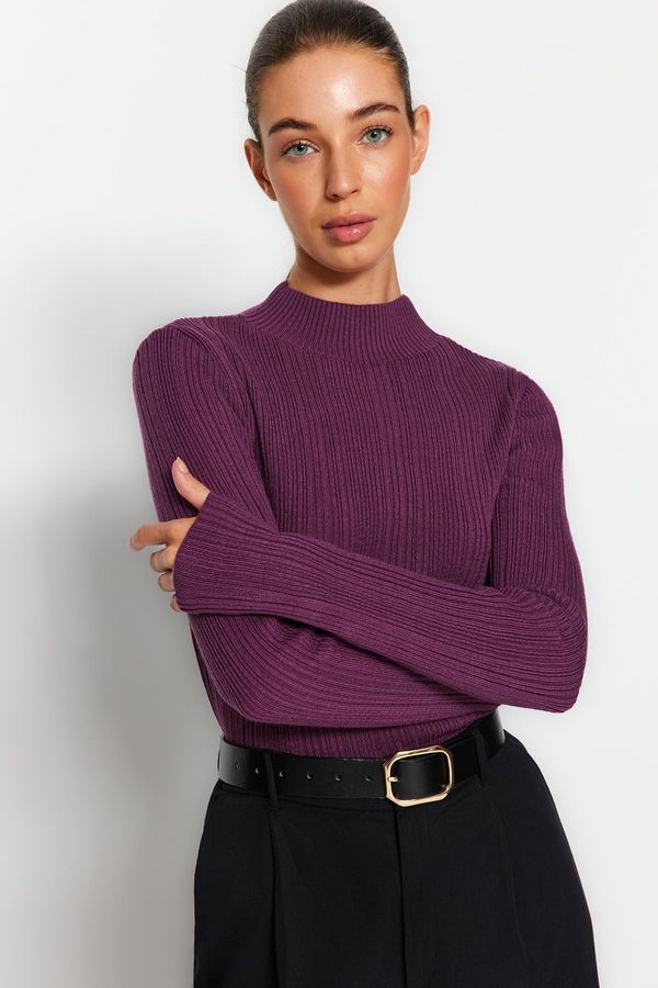 Trendyol Trendyol Purple Stand Collar Knitwear Sweater