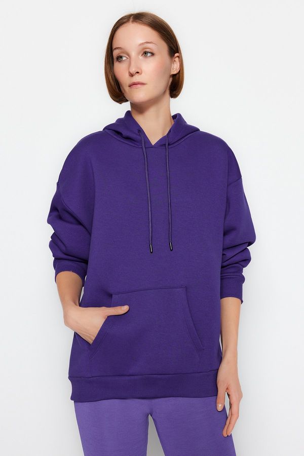 Trendyol Trendyol Purple Thick Fleece Inside Oversized/Wide Fit With a Hooded Basic Knitted Sweatshirt