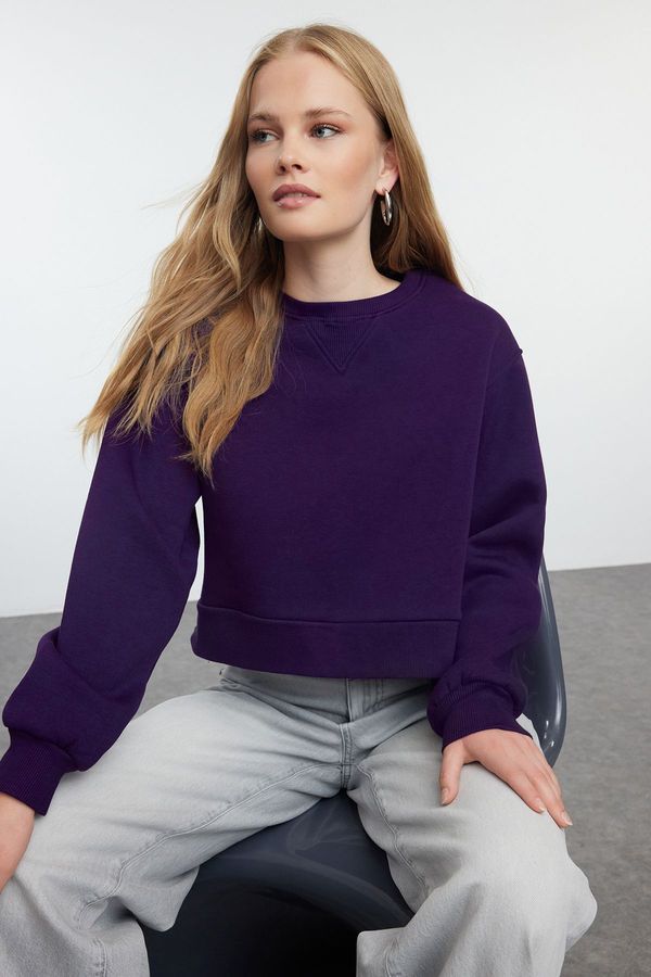 Trendyol Trendyol Purple Thick Inside Fleece Relaxed/Wide Fit Crop Basic Knitted Sweatshirt