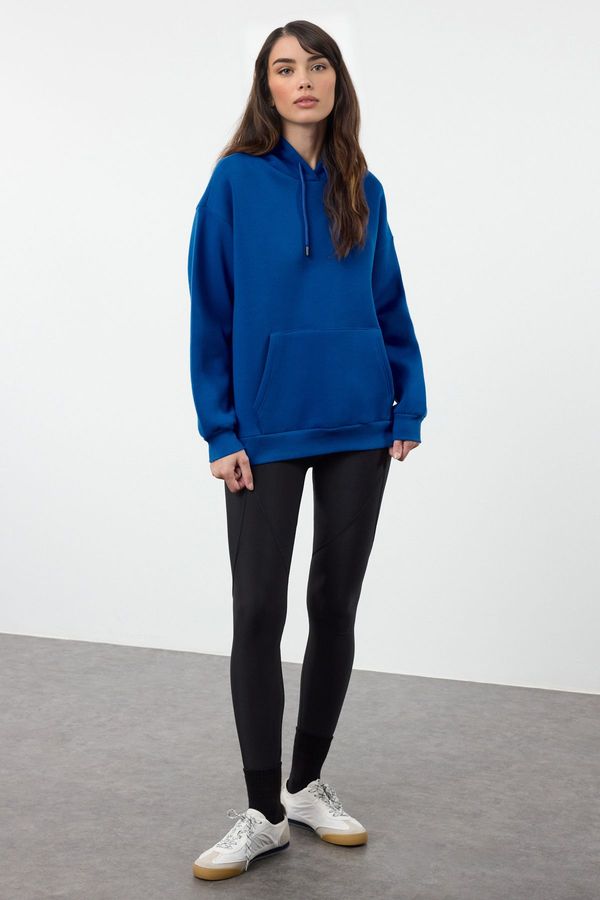 Trendyol Trendyol Saks Thick Fleece Inside Oversize/Wide Fit Hooded Basic Knitted Sweatshirt