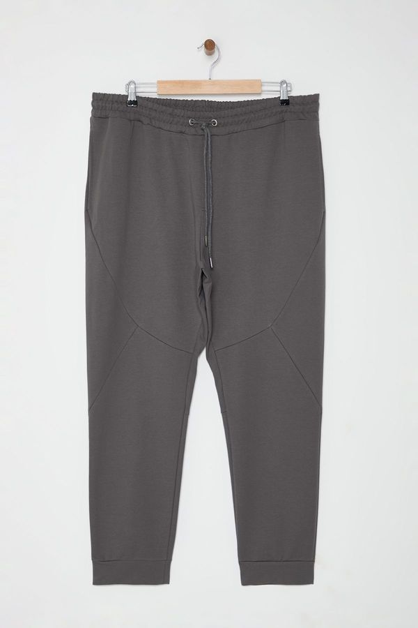 Trendyol Trendyol Smoked Plus Size Regular/Normal Cut Sweatpants with Stitching Detail