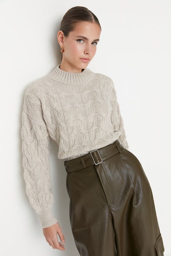 Trendyol Trendyol Stone Crop High Neck Knitwear Sweater