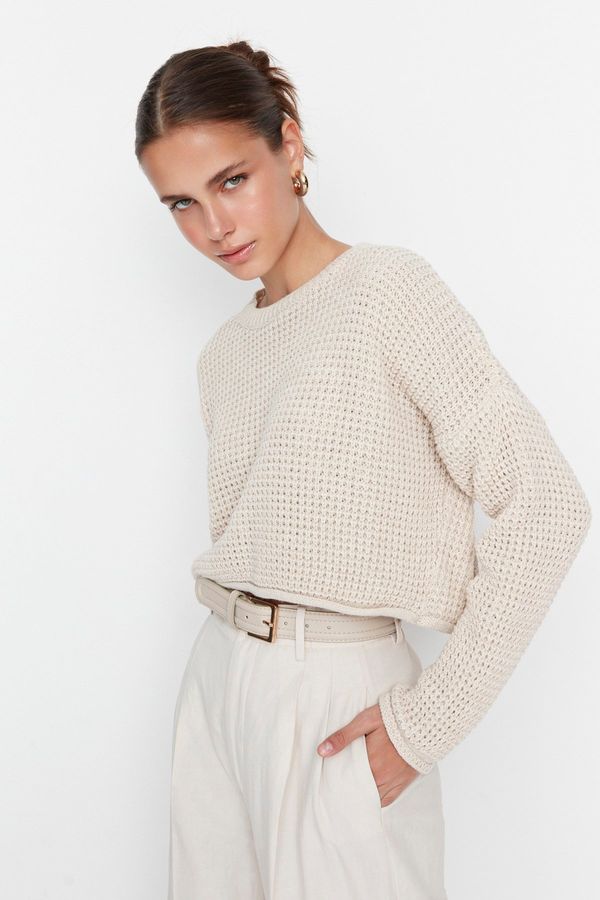 Trendyol Trendyol Stone Crop Knitwear Sweater