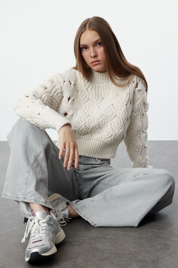 Trendyol Trendyol Stone Crop Openwork/Hole Detailed Crew Neck Knitwear Sweater