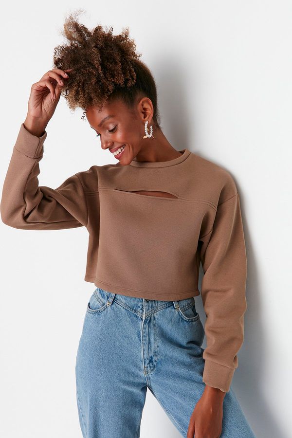 Trendyol Trendyol Stone Loose Crop Collar Detailed Thin, Fleece Inside Knitted Sweatshirt