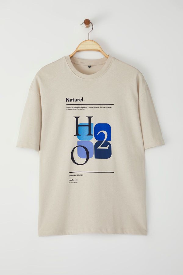 Trendyol Trendyol stone Oversize/Wide Cut 100% Cotton Front Printed T-Shirt