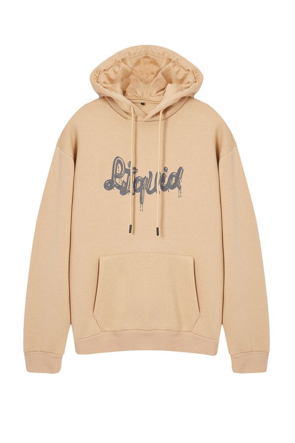 Trendyol Trendyol Stone Oversize/Wide Cut Hooded Text Printed Sweatshirt with Fleece Inside