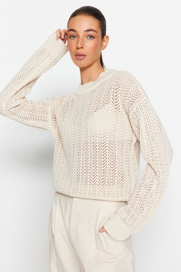 Trendyol Trendyol Stone Wide Fit Openwork/Perforated Knitwear Sweater