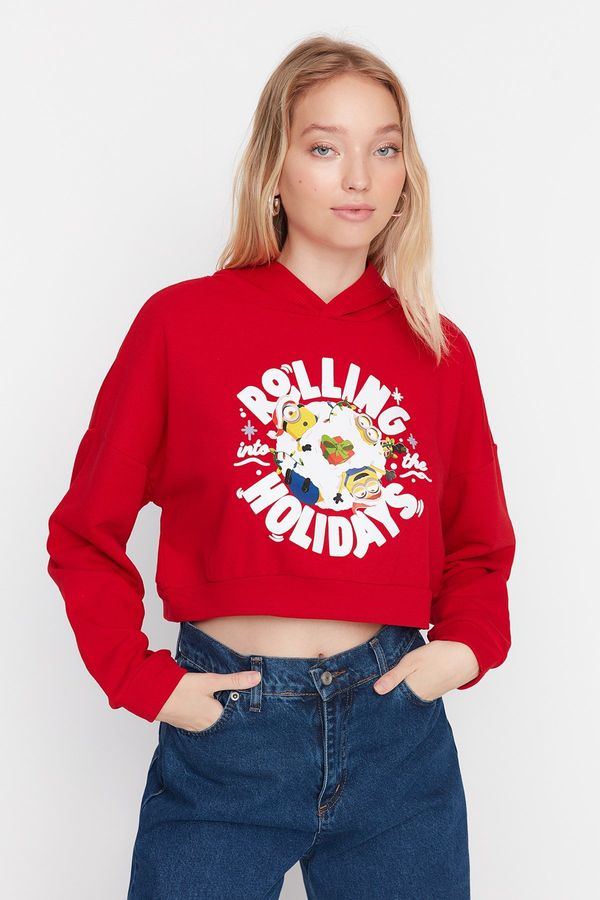 Trendyol Trendyol Sweatshirt - Red - Regular fit