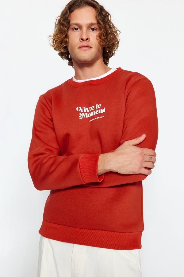 Trendyol Trendyol Tile Men Men's Regular / Regular fit Crew Neck Long Sleeved Fluffy Text Printed Sweatshirt.