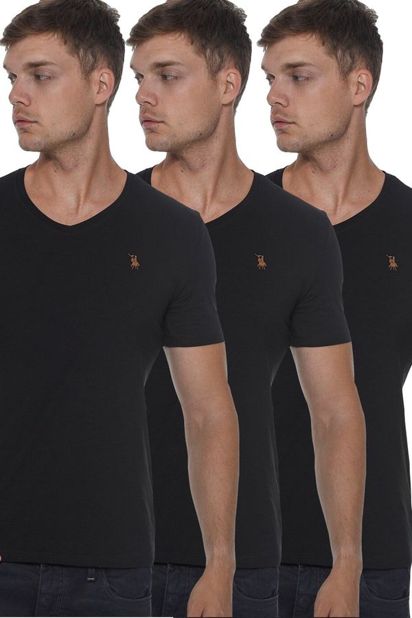 dewberry TRIPLE SET T8568 DEWBERRY V-NECK MEN'S T-SHIRT-BLACK-BLACK-BLACK