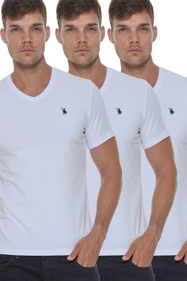 dewberry TRIPLE SET T8568 DEWBERRY V-NECK MEN'S T-SHIRT-WHITE-WHITE-WHITE