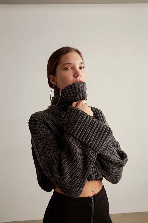 VATKALI VATKALI Turtleneck Crop Sweater Gray