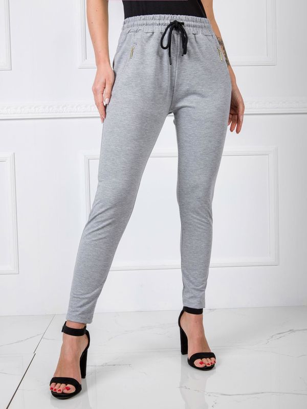 Fashionhunters Women's grey sweatpants