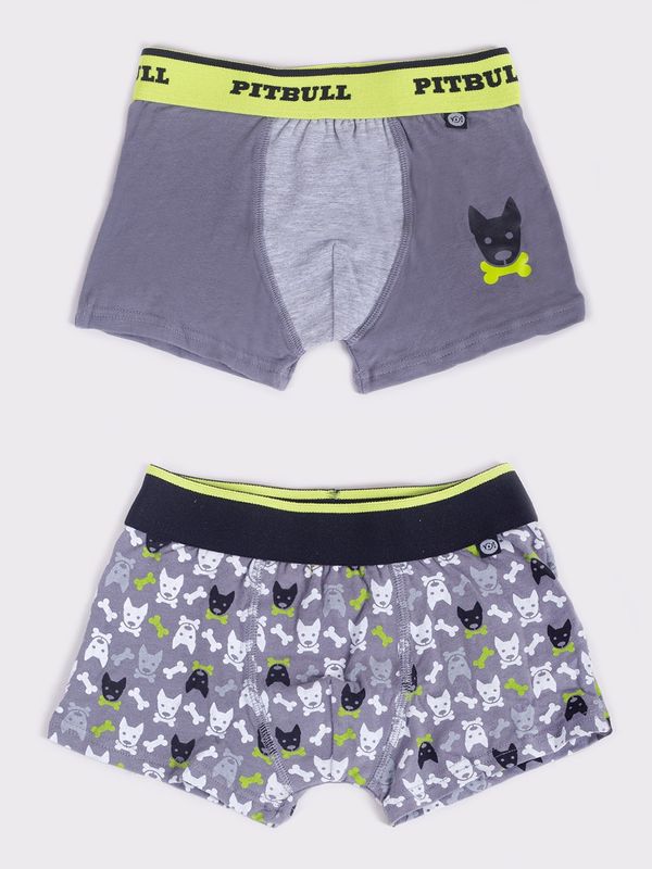 Yoclub Yoclub Kids's 2Pack Boy's Boxer Briefs BMB-0018C-AA30