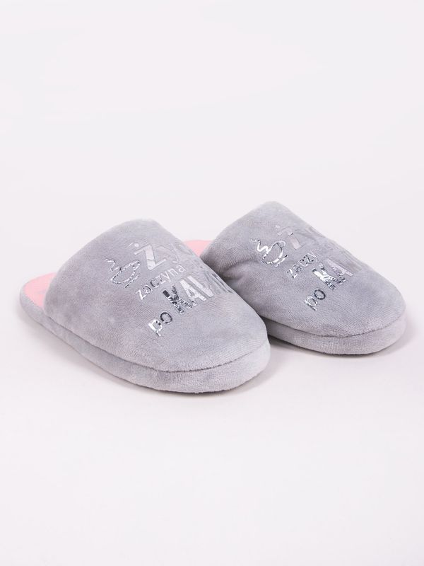 Yoclub Yoclub Woman's Women's Slippers OKL-0112K-2800