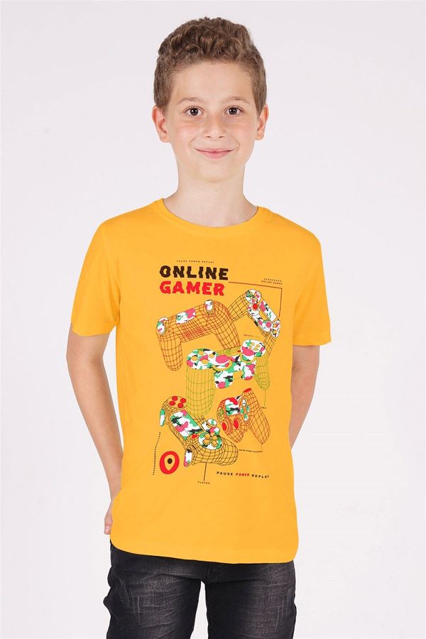 zepkids zepkids Boys' Mustard-colored Crewneck Play Arms Printed T-Shirt