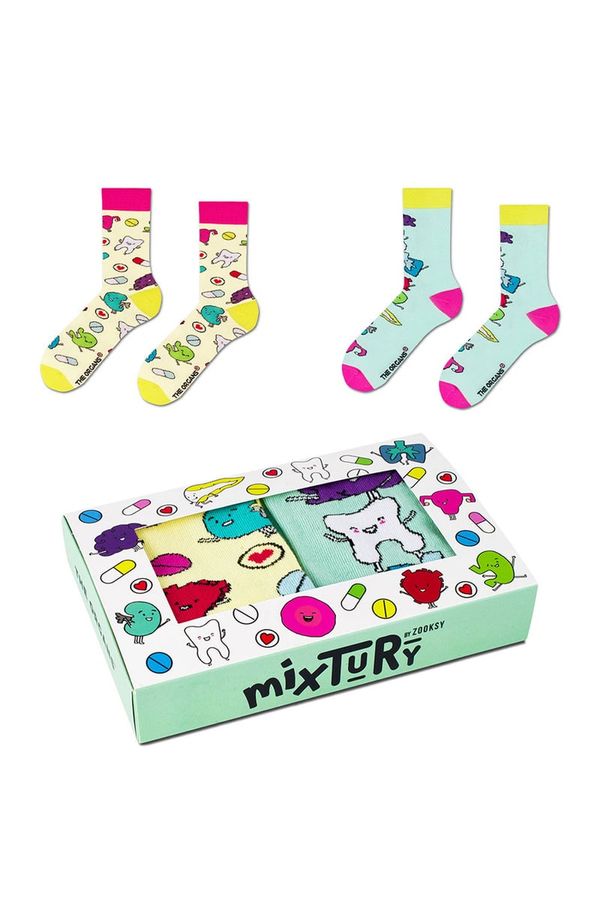 ZOOKSY/RAINBOW SOCKS ZOOKSY/RAINBOW SOCKS Sockenset Zooxy mixTURY organs 2 Paar